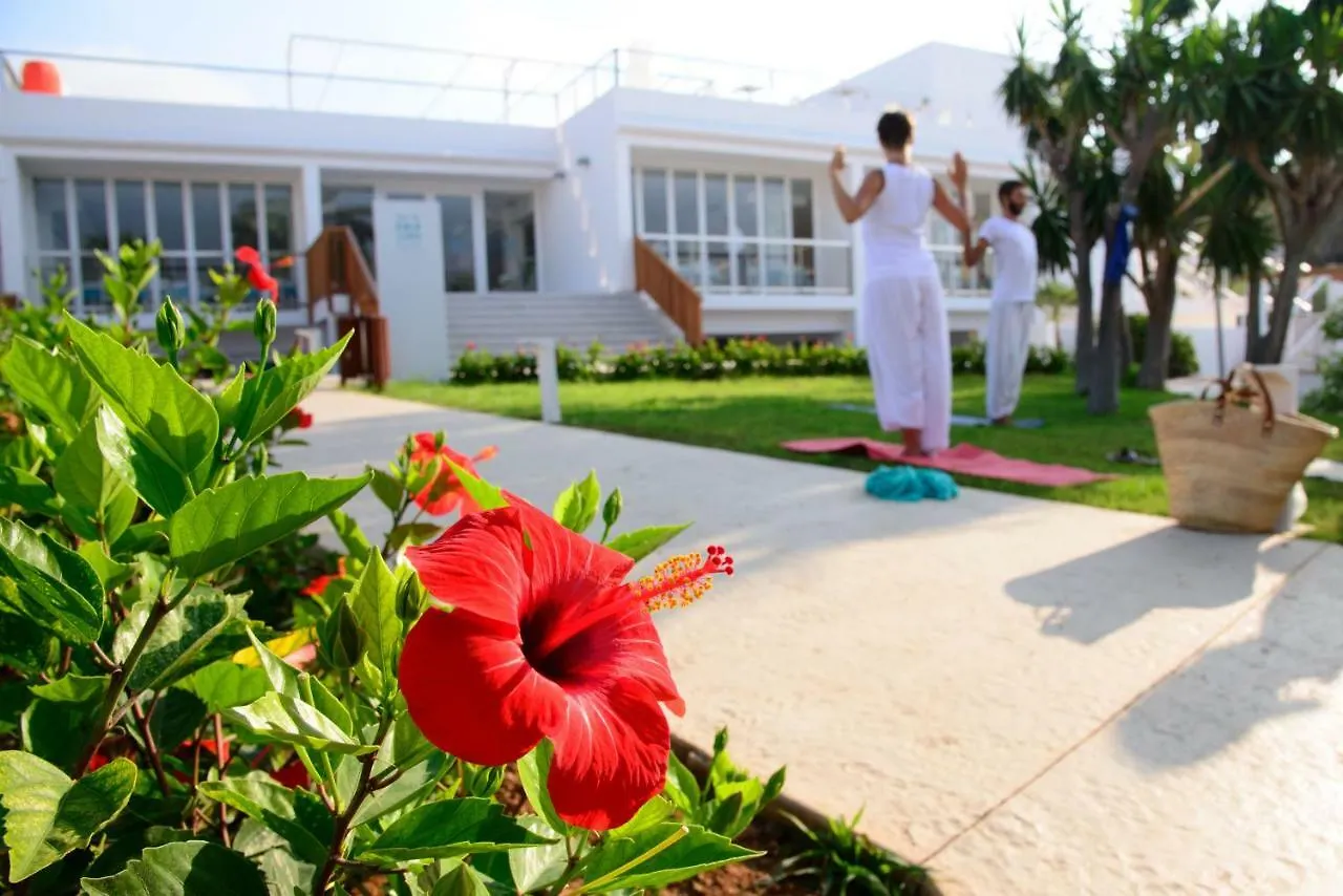 Cala Llenya Resort Ibiza Spanien