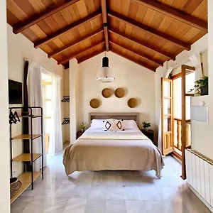 https://apartamentos-turisticos-san-pedro.es-andalucia.com
